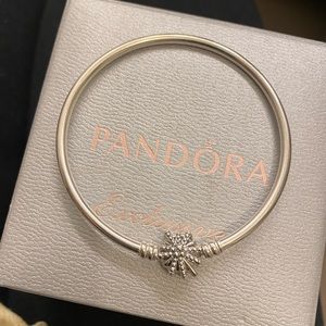 Pandora bracelet